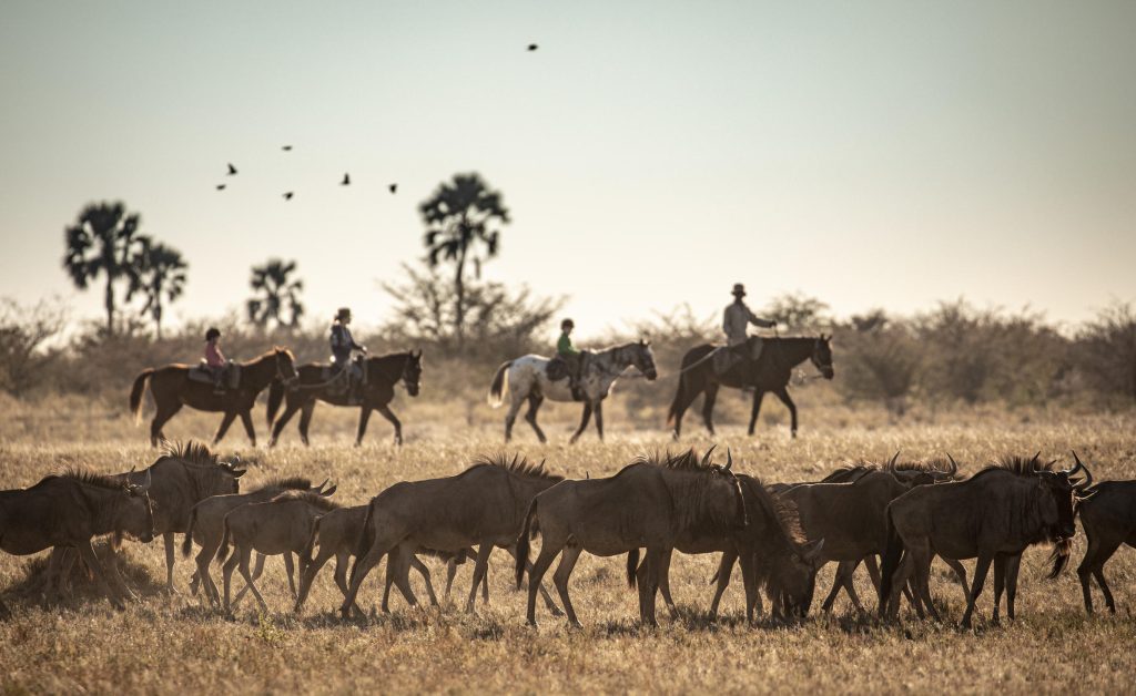 Jack's Camp, Makgadikgadi Salt Pans, Botswana