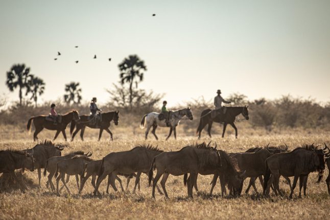 Jack's Camp, Makgadikgadi Salt Pans, Botswana