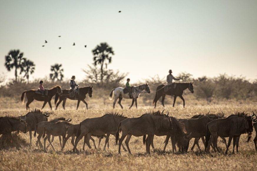 Jack's Camp, Makgadikgadi Salt Pans, Botswana