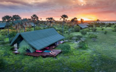 jack-s-camp-guest-tent
