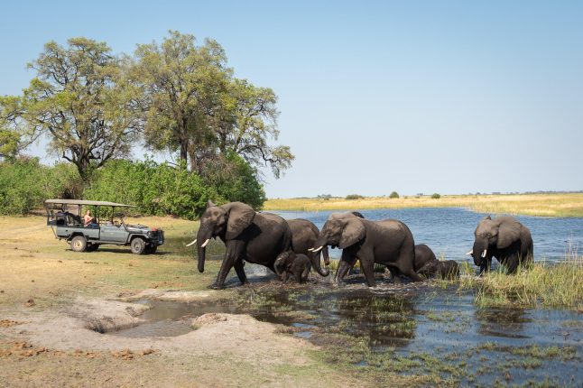 Wilderness Linyanti Tented Camp, Botswana