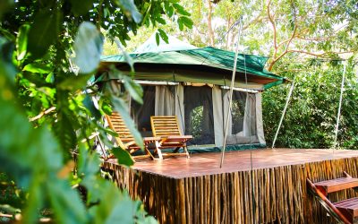 Wayo Manyara Green Camp, Lake Manyara National Park, Tanzania