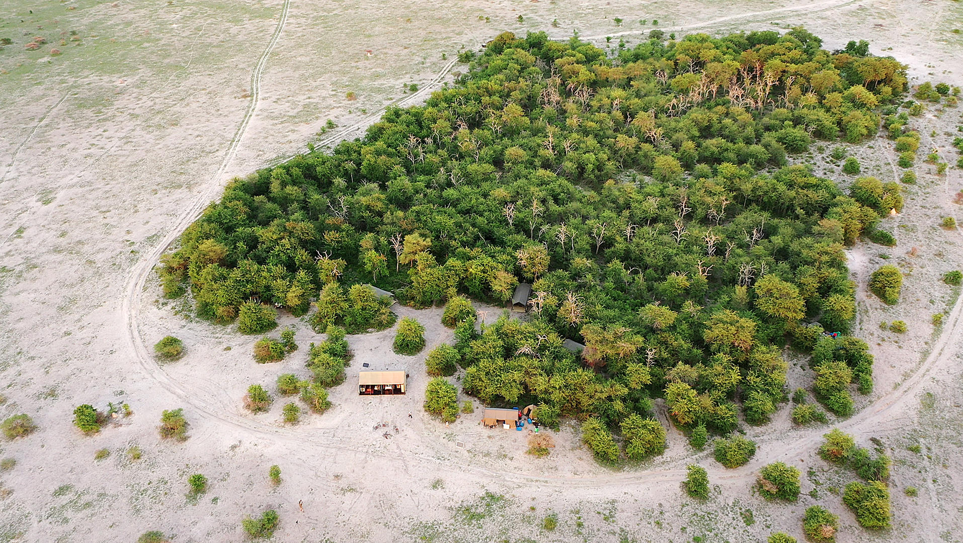 African Bush Camps Migrations Expeditions, Nxai National Park, Botswana