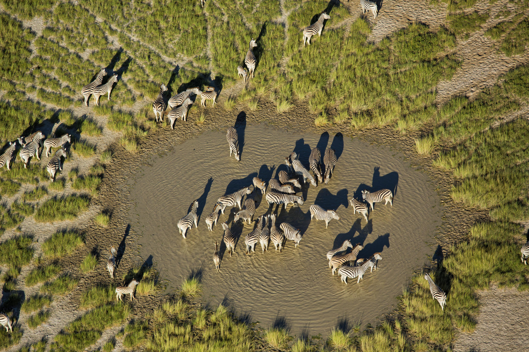 migration_3