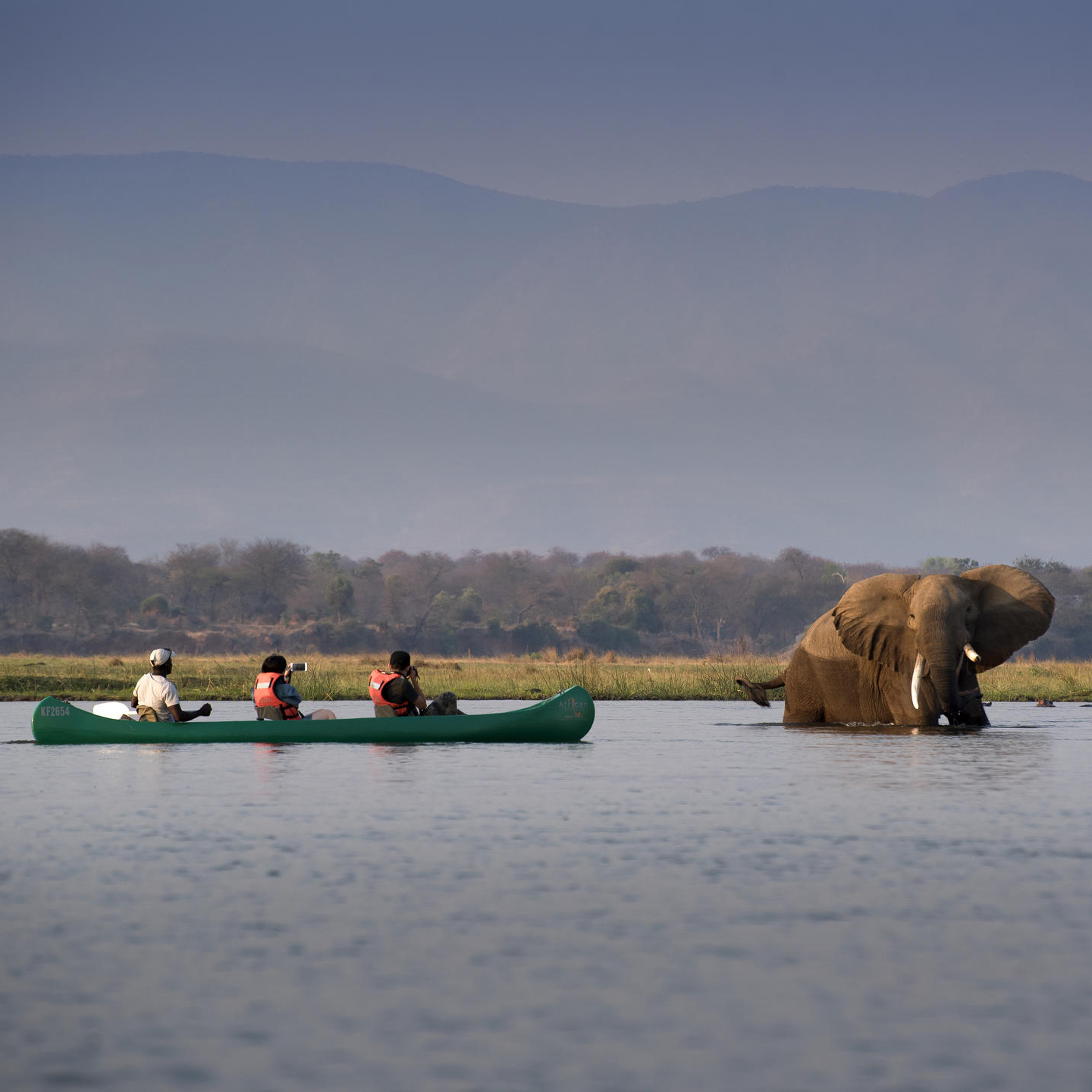 Mana Pools National Park 