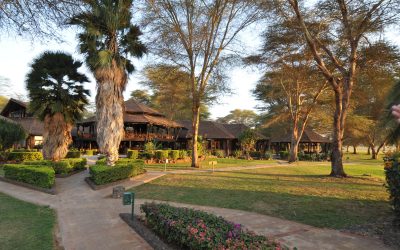 Ol Tukai Lodge, Amboseli National Park, Kenya