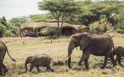 Lewa House, Lewa Conservancy, Laikipia, Kenya