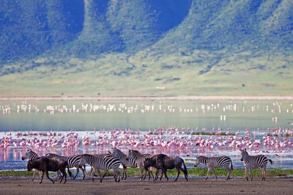 Sanctuary Ngorongoro Crater Camp, Ngorongoro Conservation Area, Tanzania