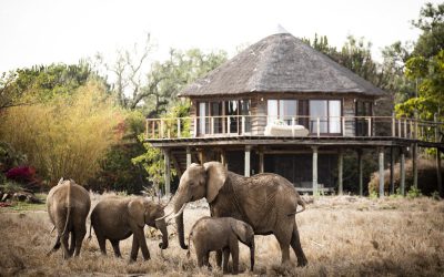 Segera Retreat, Laikipia Plateau, Kenya