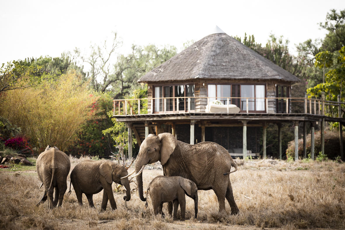 Segera Retreat, Laikipia Plateau, Kenya