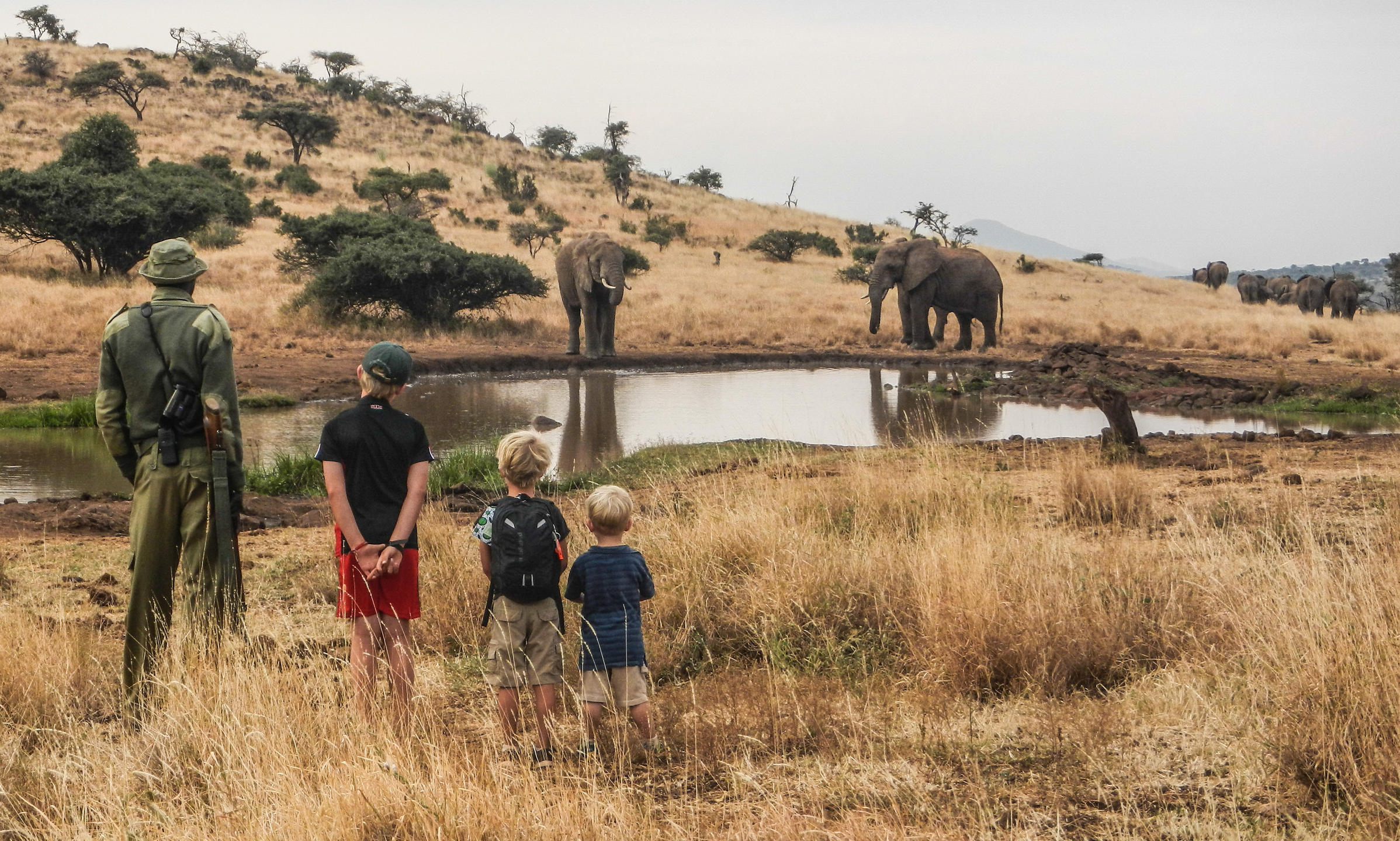 Lewa House, Lewa Conservancy, Laikipia, Kenya
