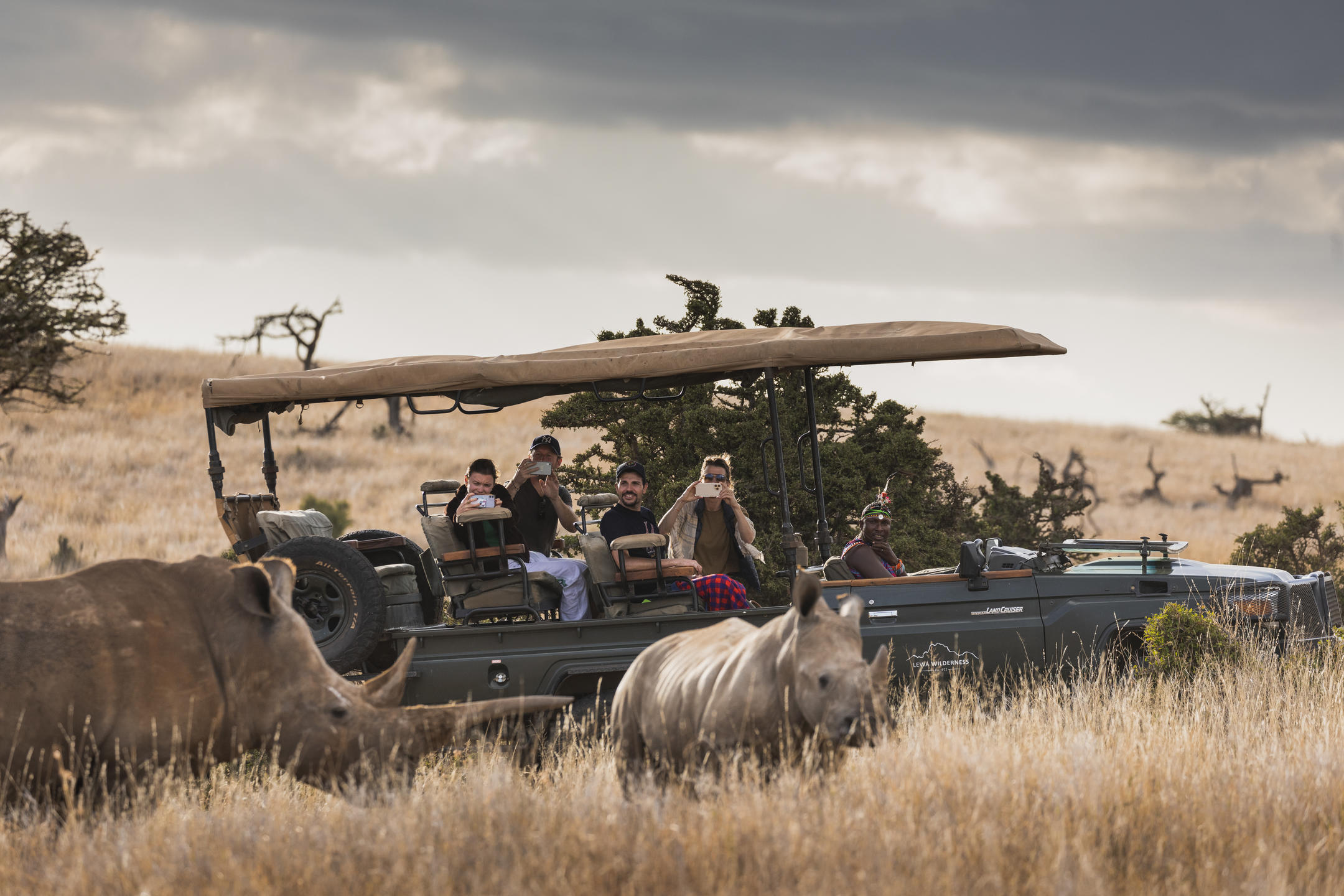 Lewa Wilderness, Lewa Conservancy, Kenya