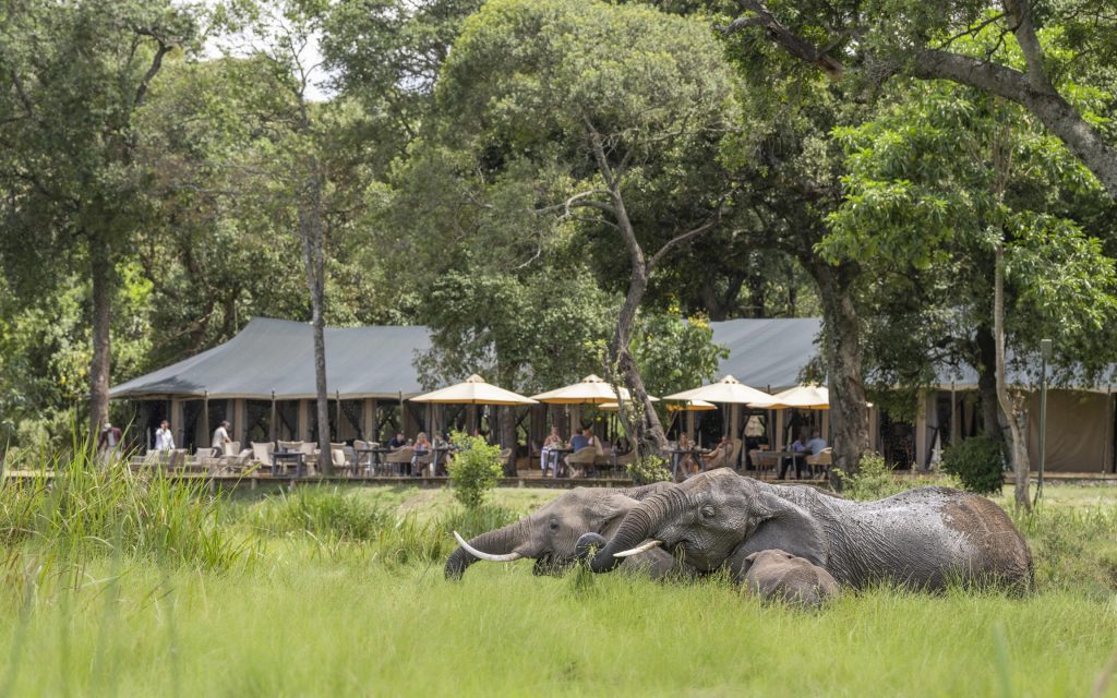 Little Governors’ Camp, Masai Mara National Reserve, Kenya