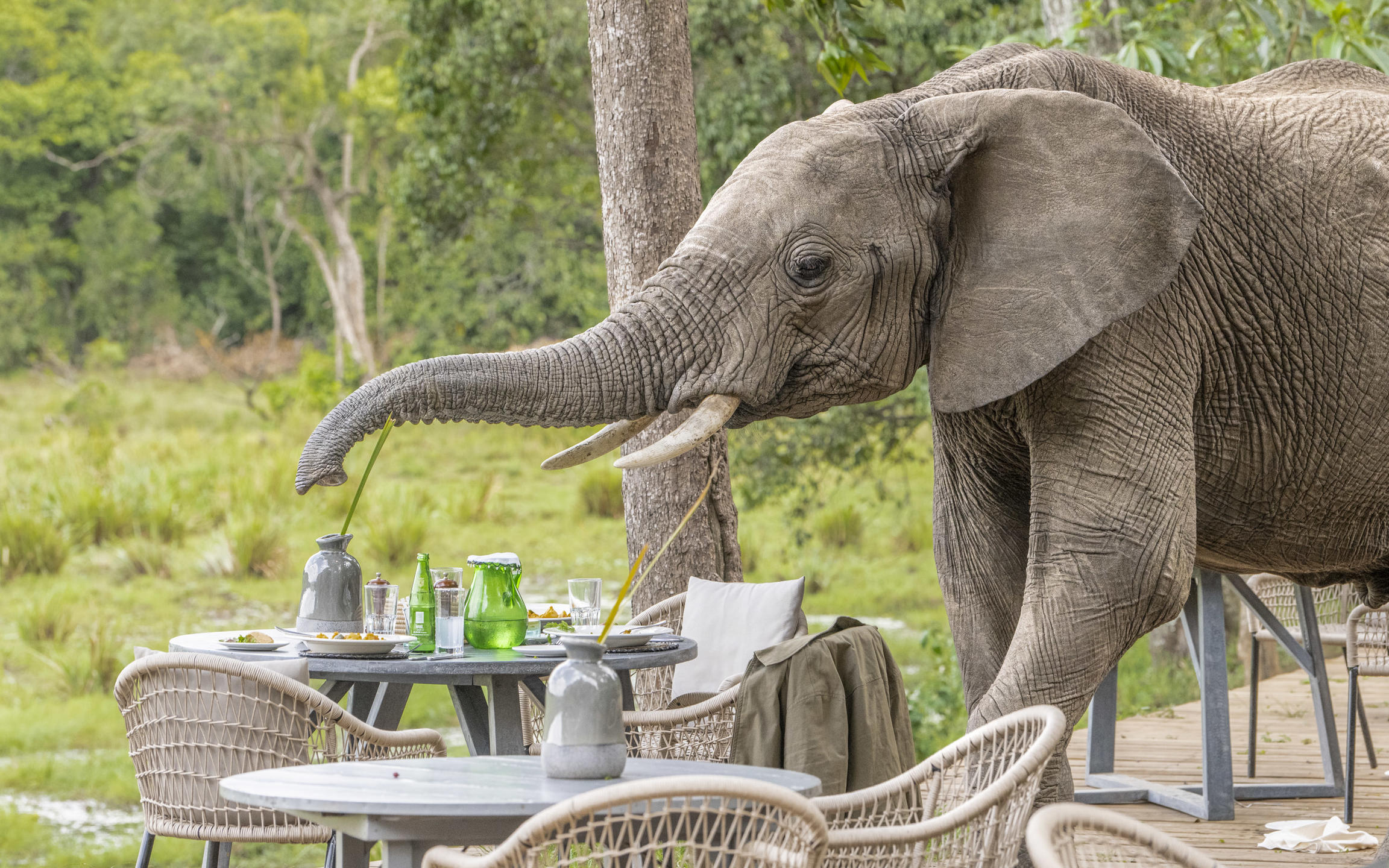 Little Governors’ Camp, Masai Mara National Reserve, Kenya