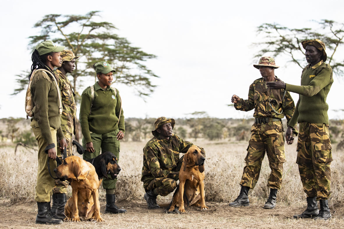 Segera Retreat, Laikipia Plateau, Kenya