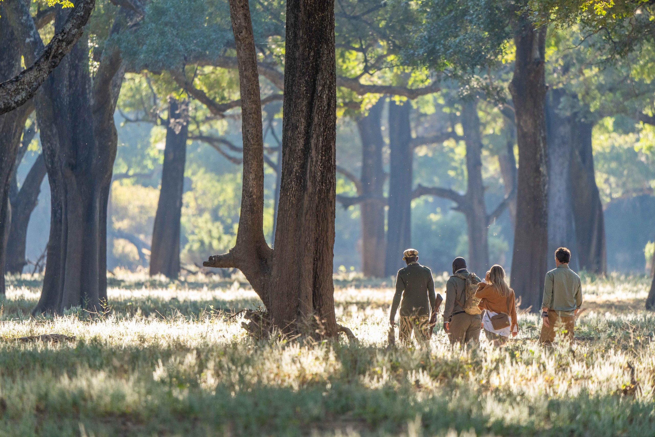 Time & Tide, walking safaris, South Luangwa 