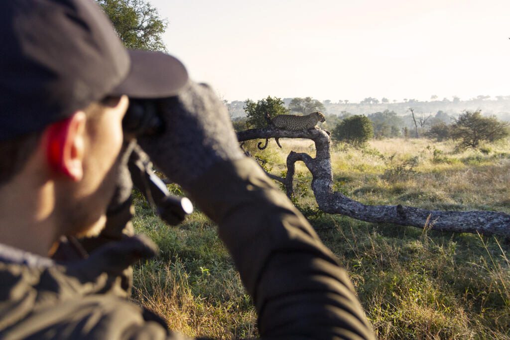 Sabi Sands, Swarovski Optiks, Tengile River Lodge