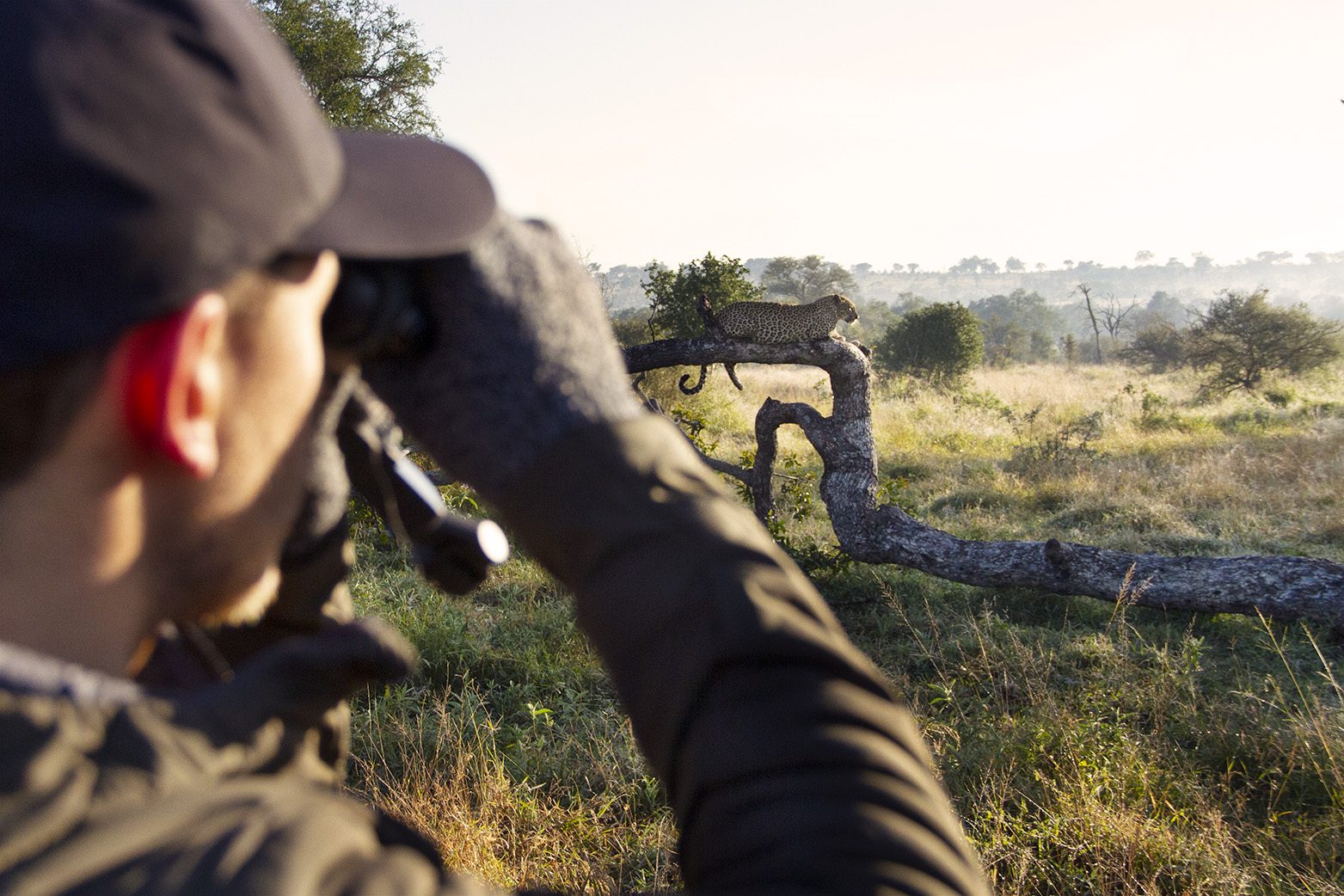 leopard mom swarovski