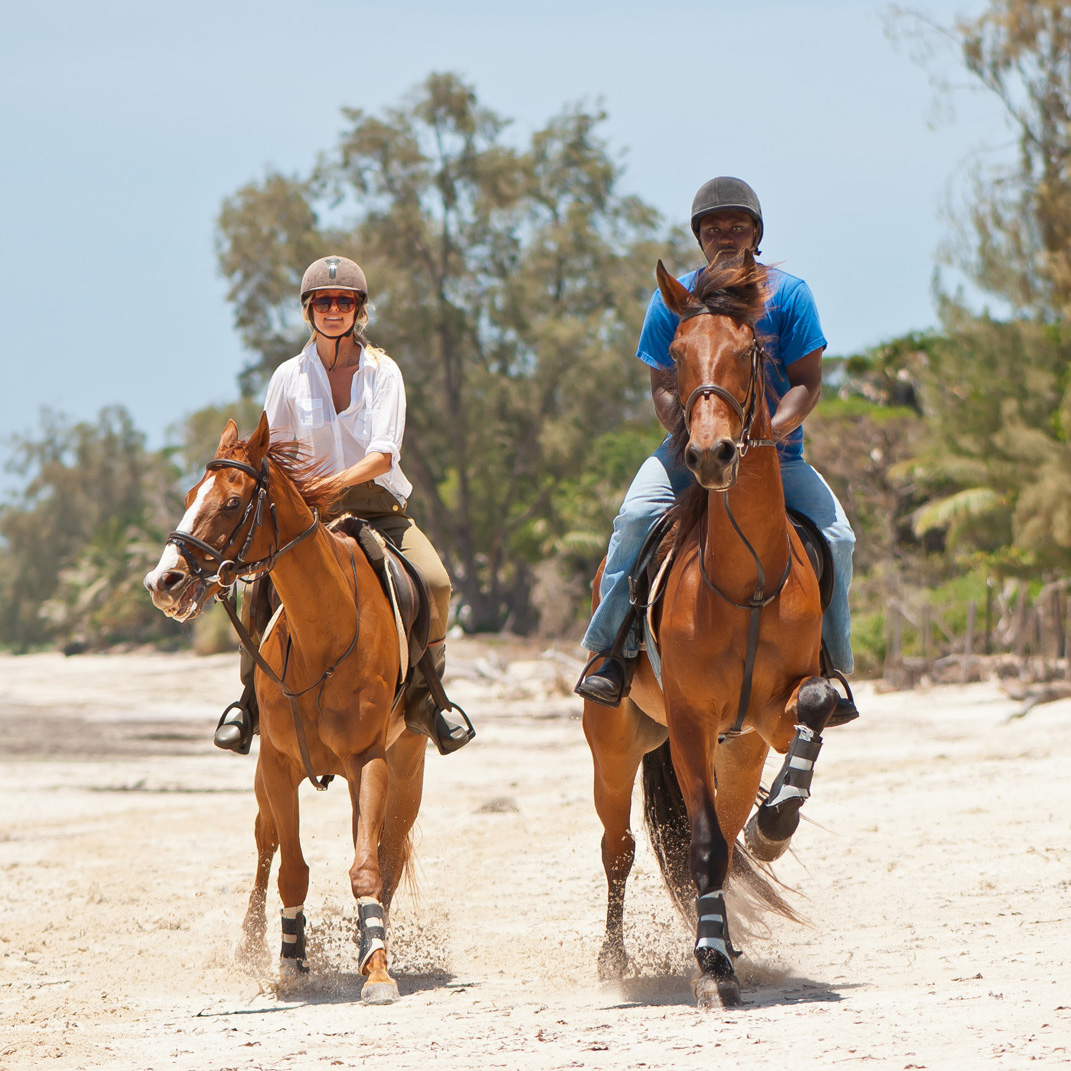 Safari & Beach Adventure 