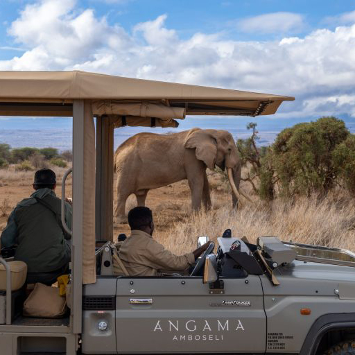 Majestic Amboseli & Masai Mara 