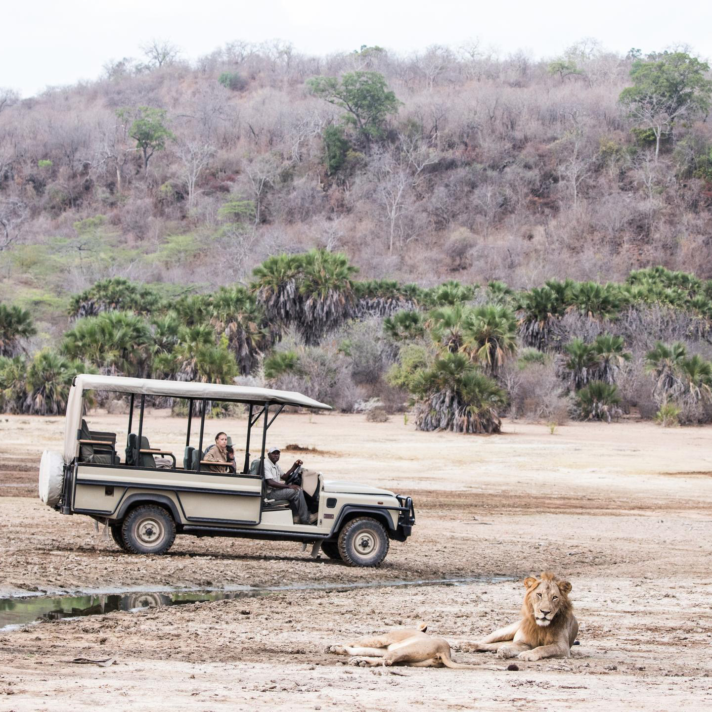 Exclusive Serengeti, Ruaha and Nyerere 