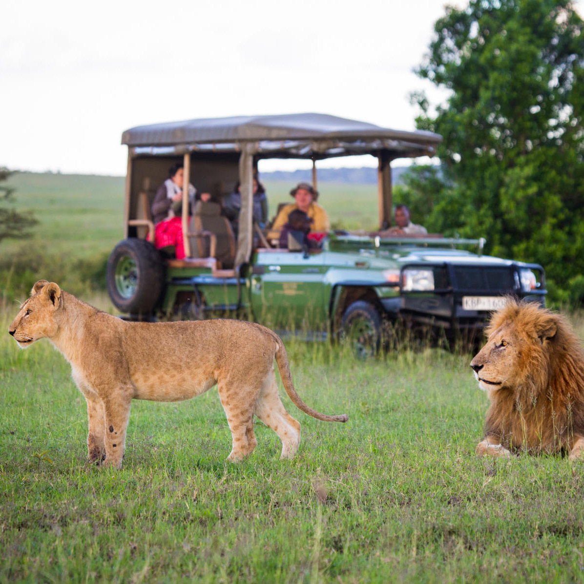 The Ultimate Kenya Safari