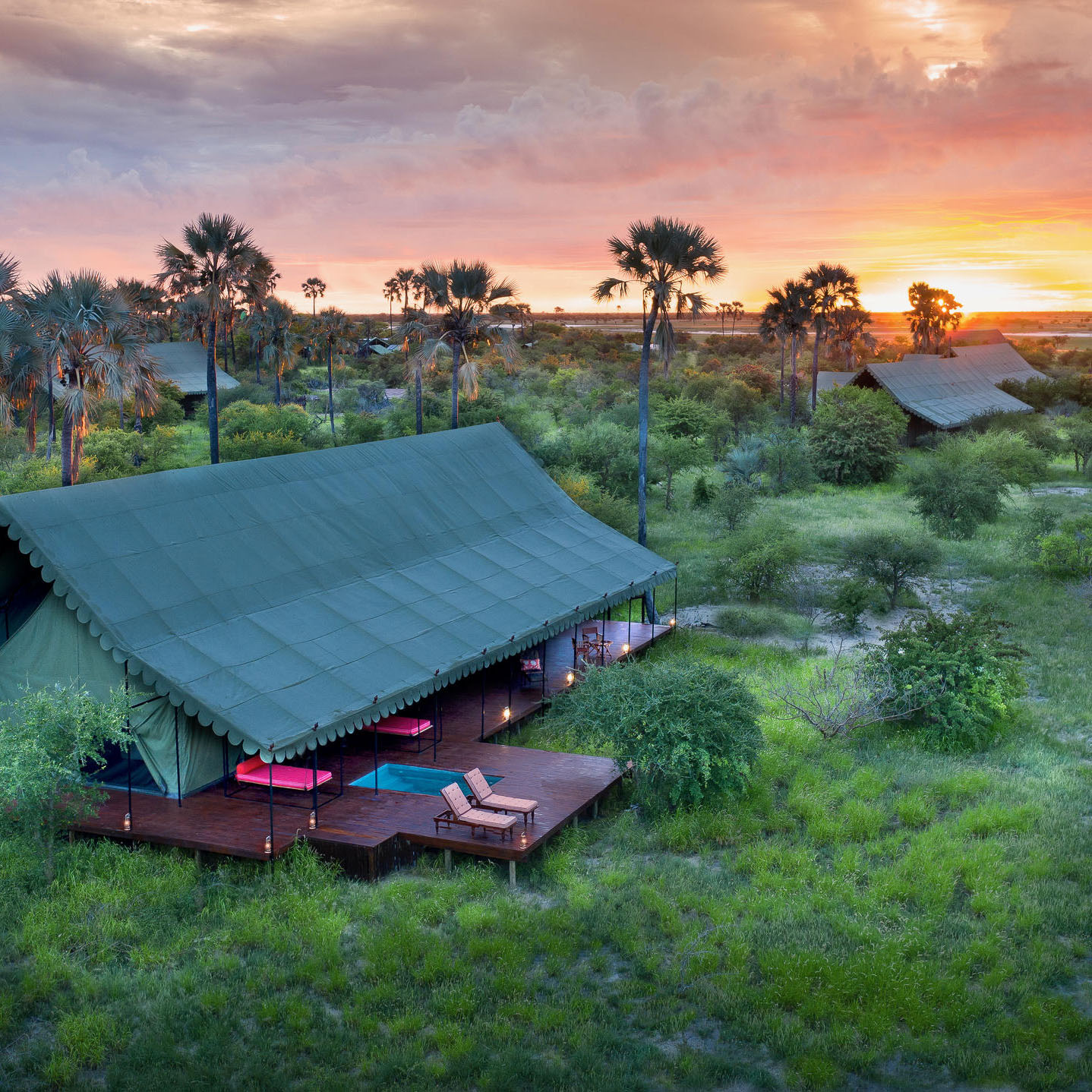 Essential Botswana Safari 