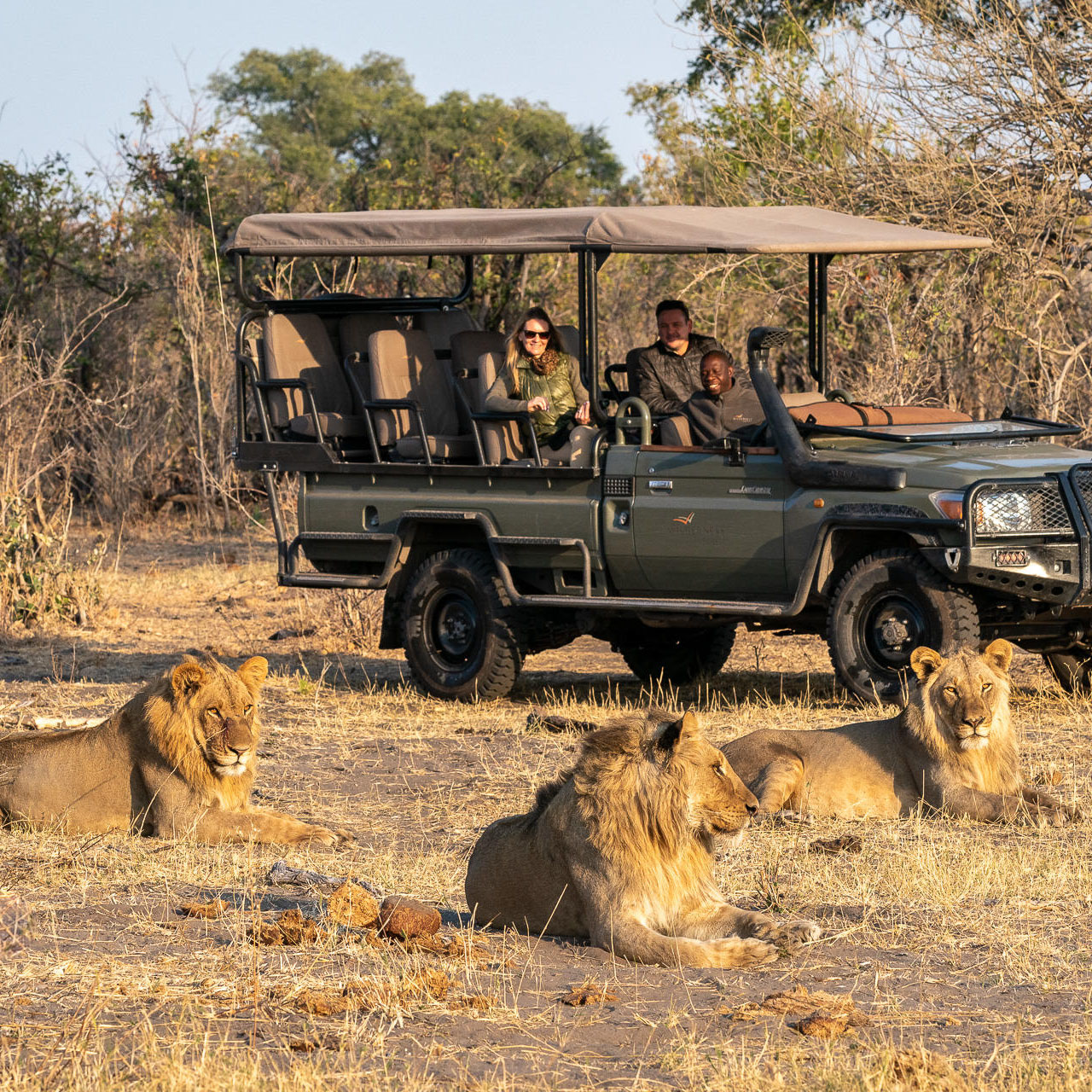 Romantic Safari In Botswana 