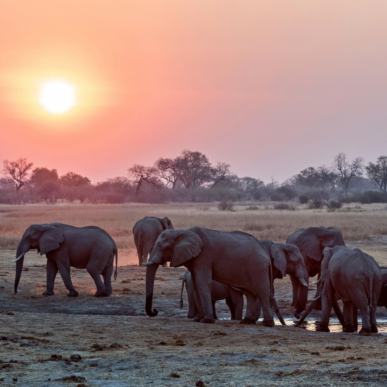 Wilderness Escape Chobe & Savute 