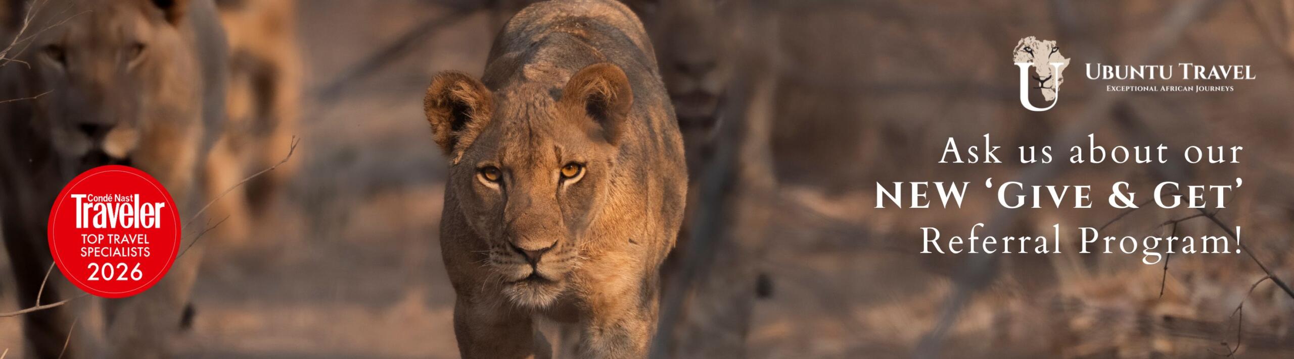 Ubuntu Travel, Referral Program, Conde Nast Award 