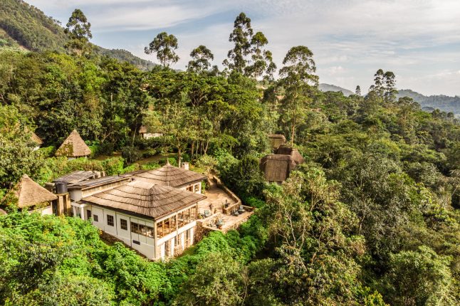 bwindi-lodge