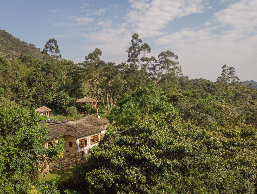 Volcanoes Safaris Bwindi Lodge