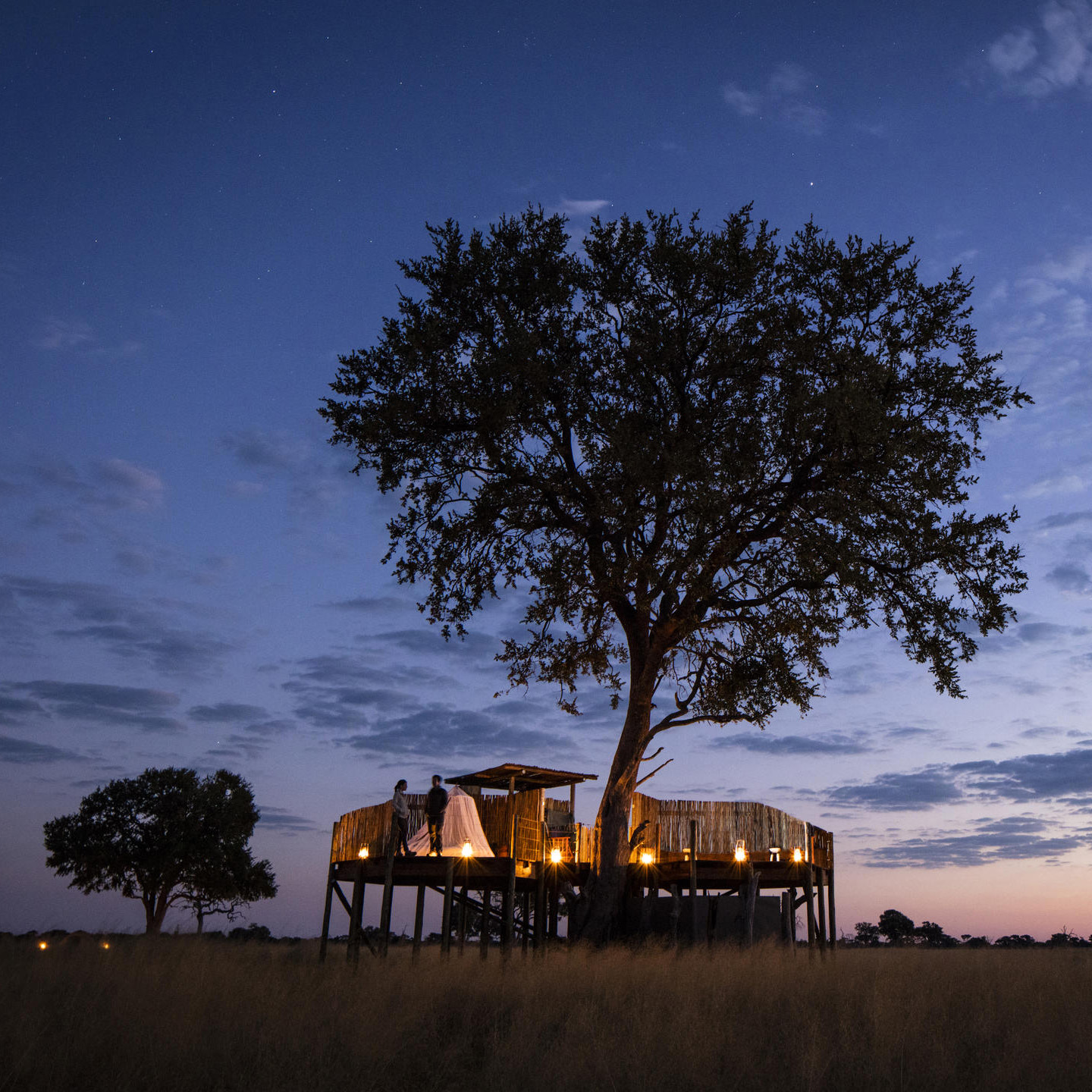 Victoria Falls to Ancient Wilderness