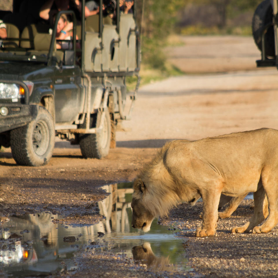 Namibia Flying Safari 