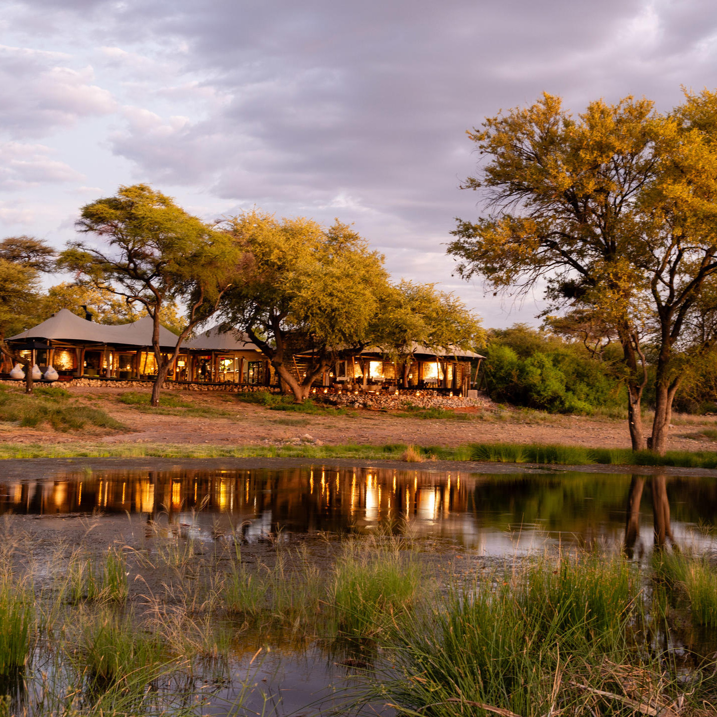  Namibian Desert Safari 