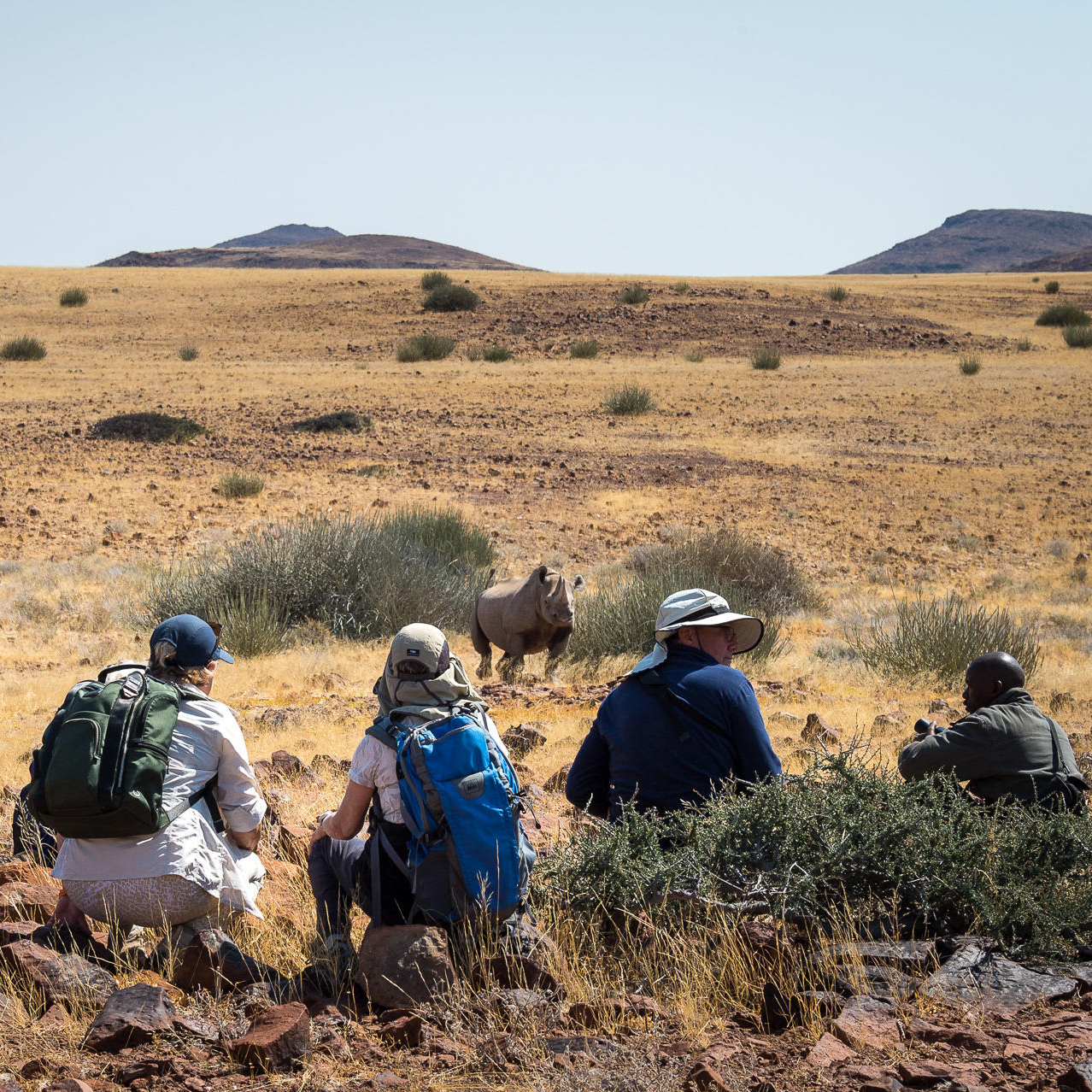 Explore Namibia Safari 