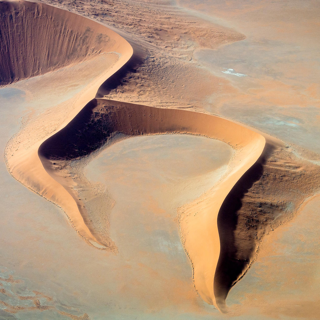 Desert & Water Safari 