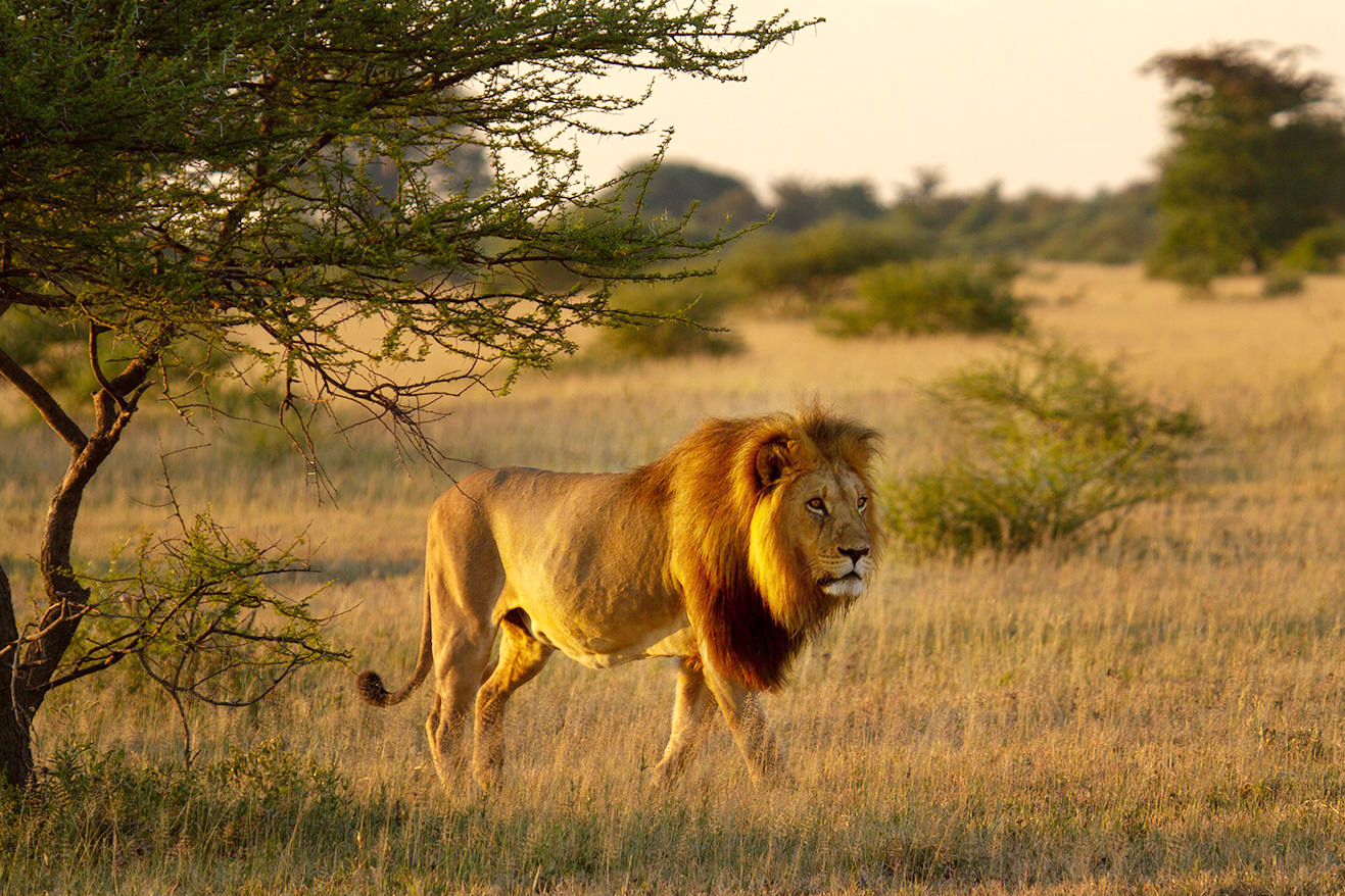 migration-expeditions-_1-copy