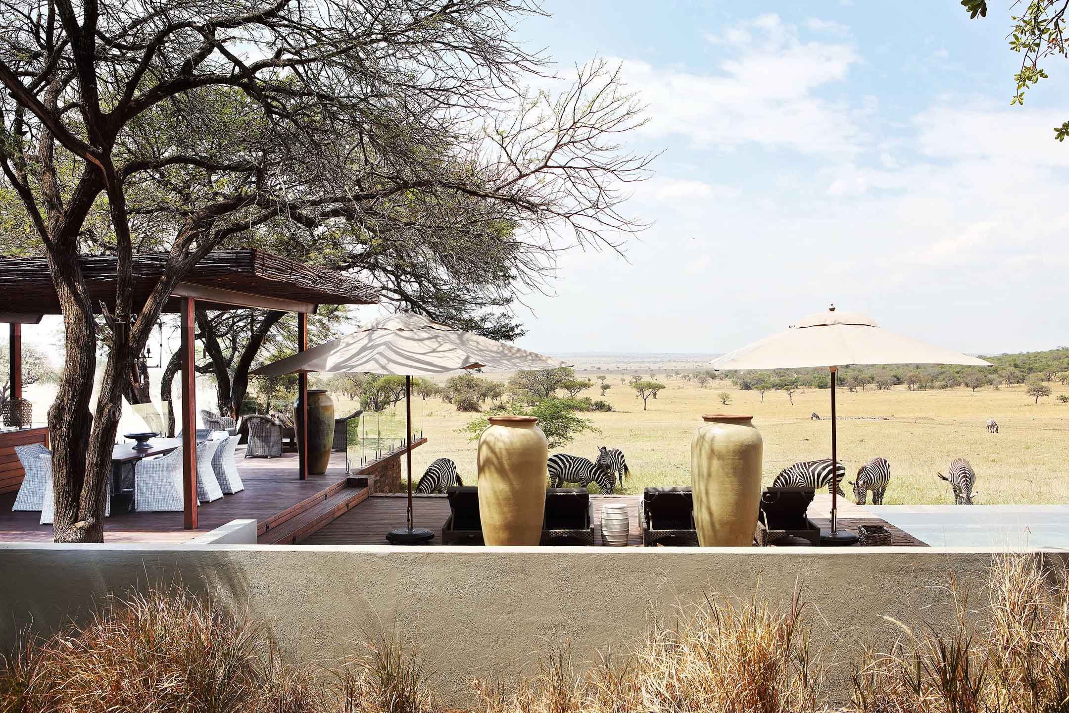 singita serengeti house copy