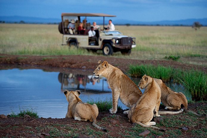 singita serengeti house game drive5 copy