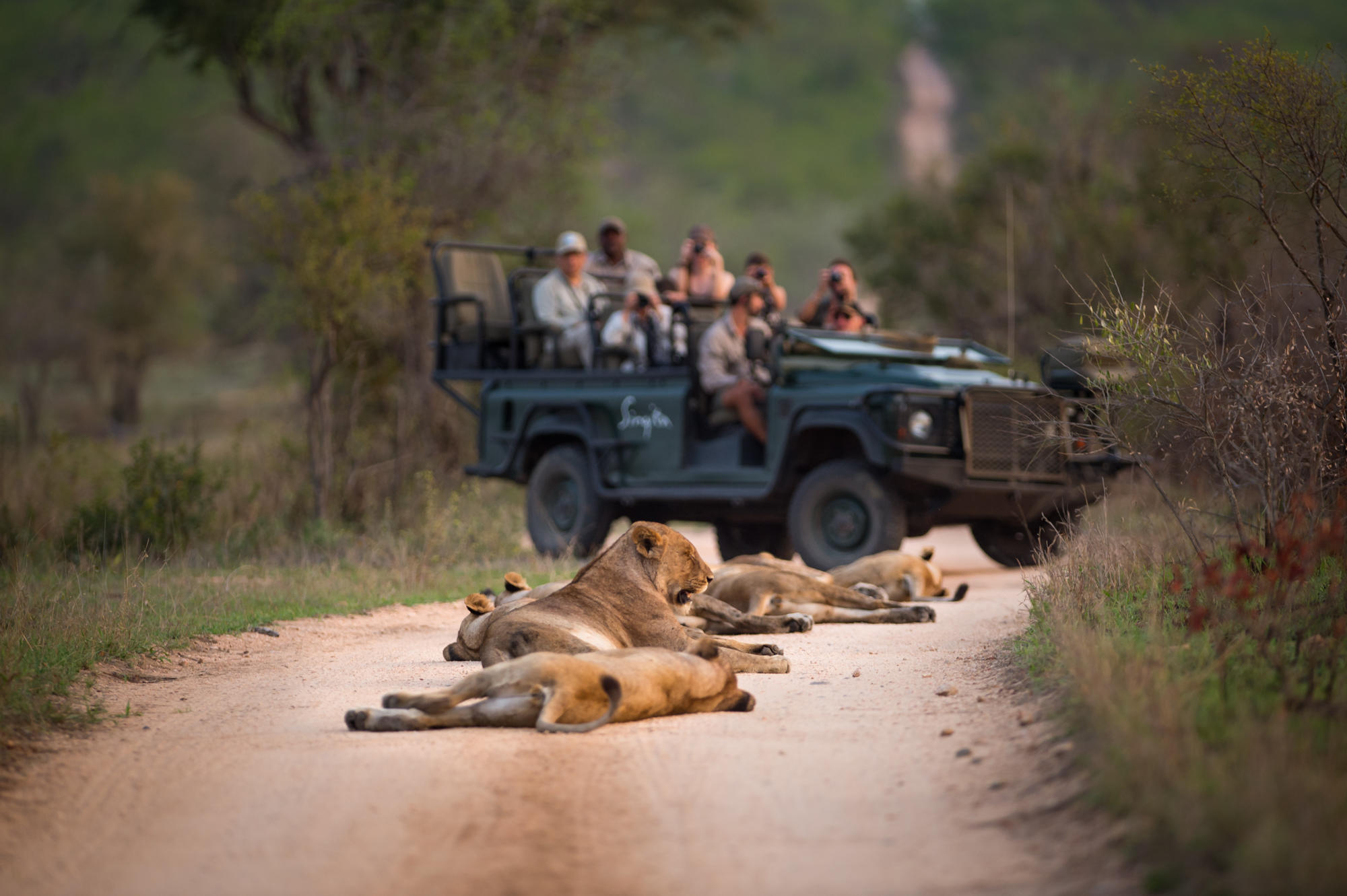 Singita Ebony, Sabi Sand Nature Reserve, South Africa
