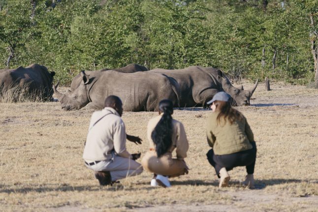 Rhino expereince at Tongabezi Lodge, Mosi-Oa-Tunya National Park, Zambia