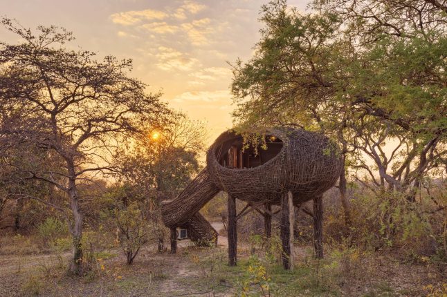 1741092528426_chisa-busanga-_-exterior-nest