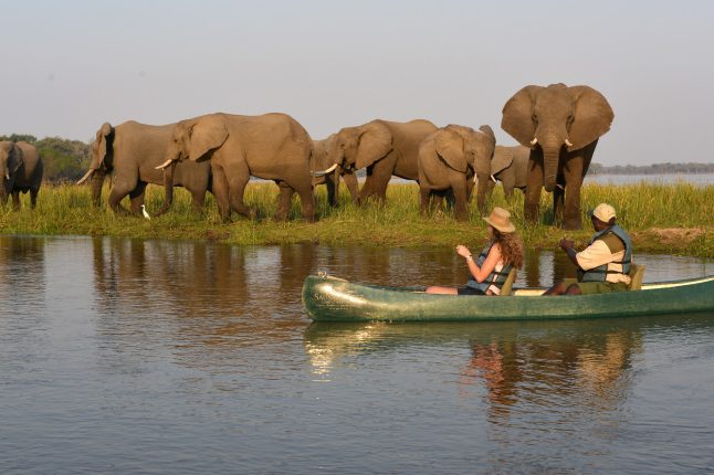 Green safaris Potato Bush Camp, Lower, Zambezi, Zambia