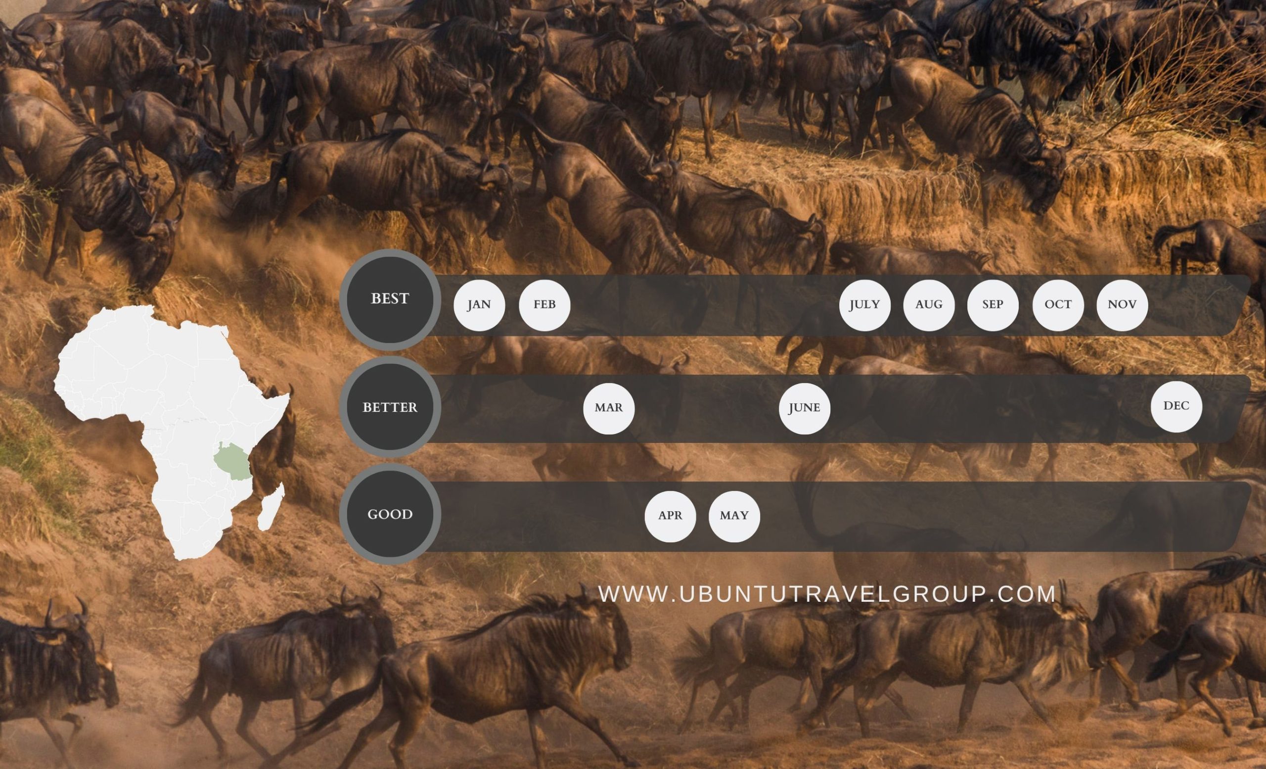 Green Aesthetic Linear Diagram Graph - 10 Tanzania, Destination Guid