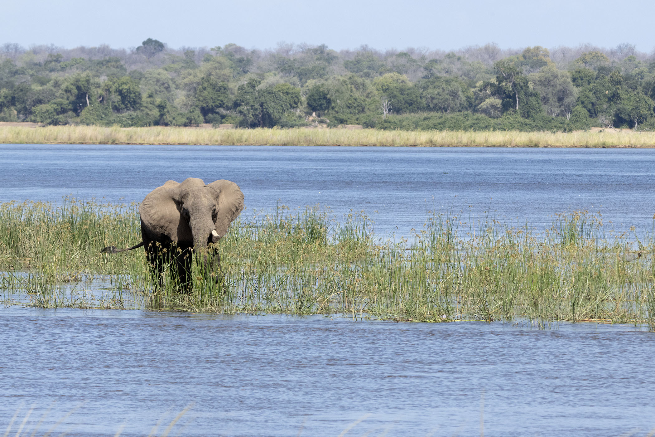 African Bush Camp Lolebezi, Lower Zambezi, Zambia