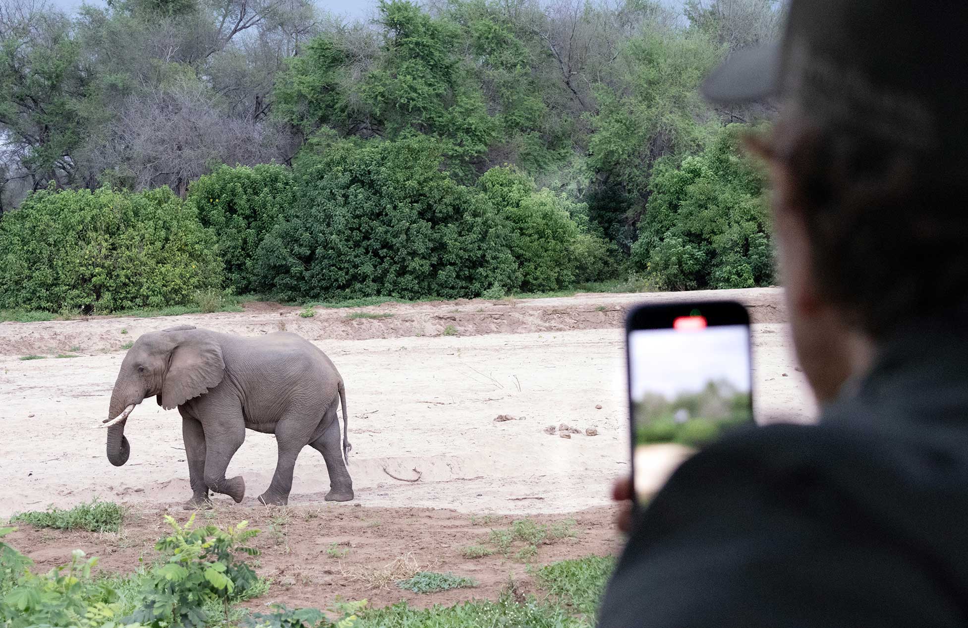 Co-founder, Kyle Green taking a video at Lolebezi, Lower Zambezi, Zambia 