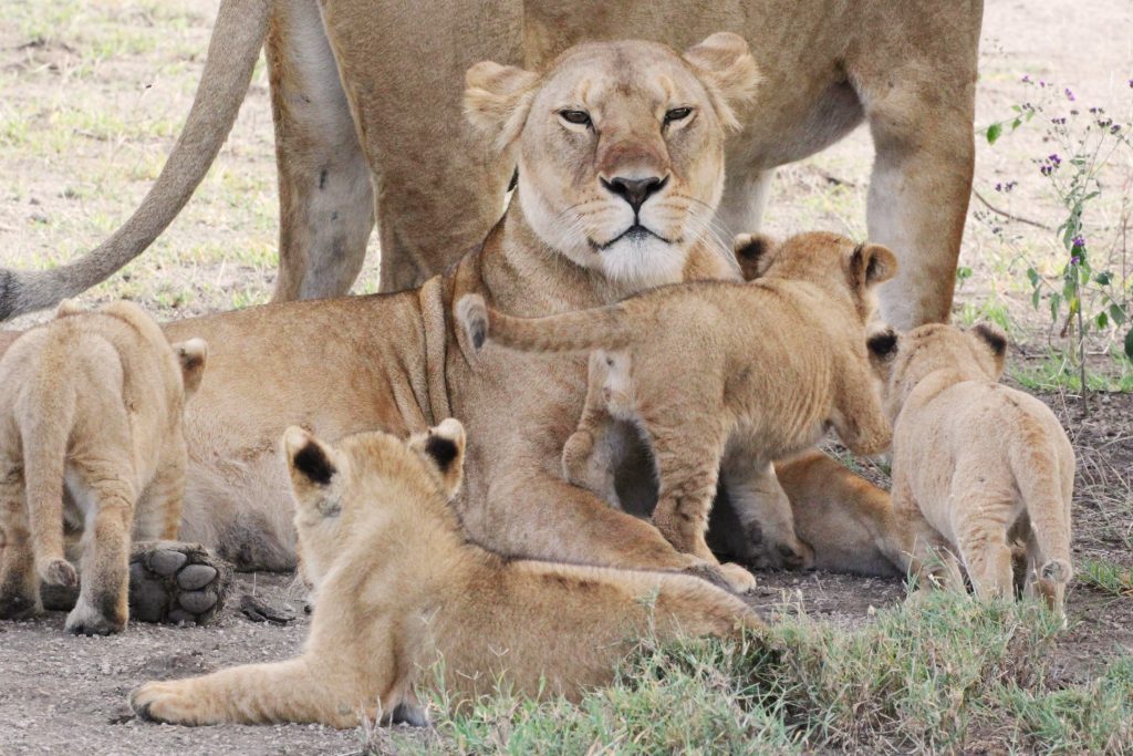 170507_thin_pride_nudutu_02_cropped-1024x683 170507_thin_pride_nudutu_02_cropped-1024x683