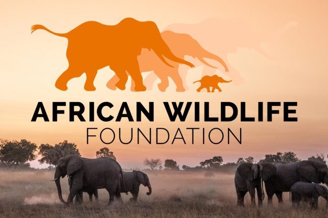 African Wildlife Foundation