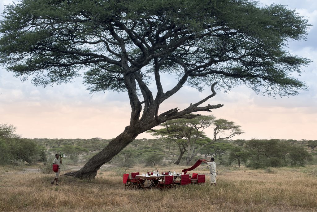 bush-lunch-andbeyond-serengeti-under-canvas-1024x684 bush-lunch-andbeyond-serengeti-under-canvas-1024x684